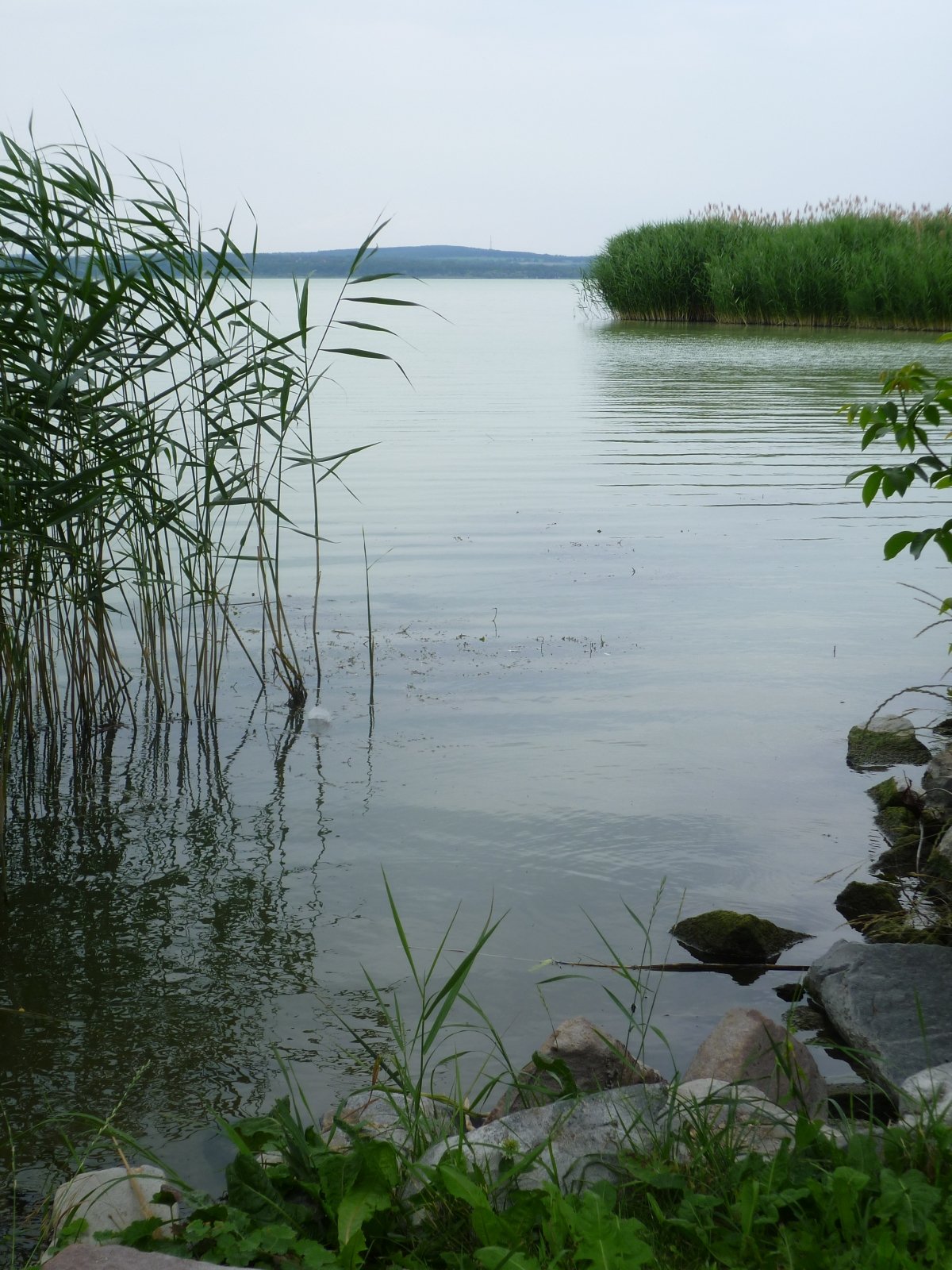 Balaton_turatipper